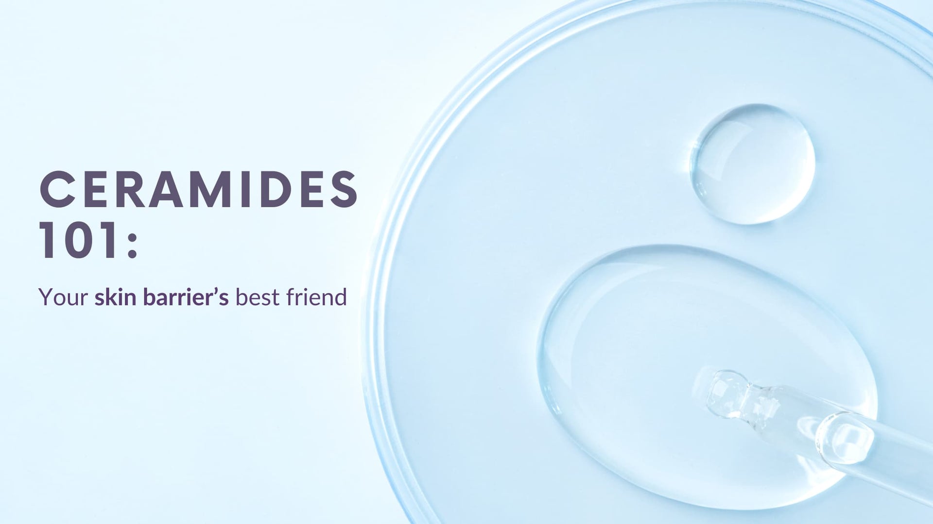 Ceramide Skincare Benefits: Your Barrier's Best Friend