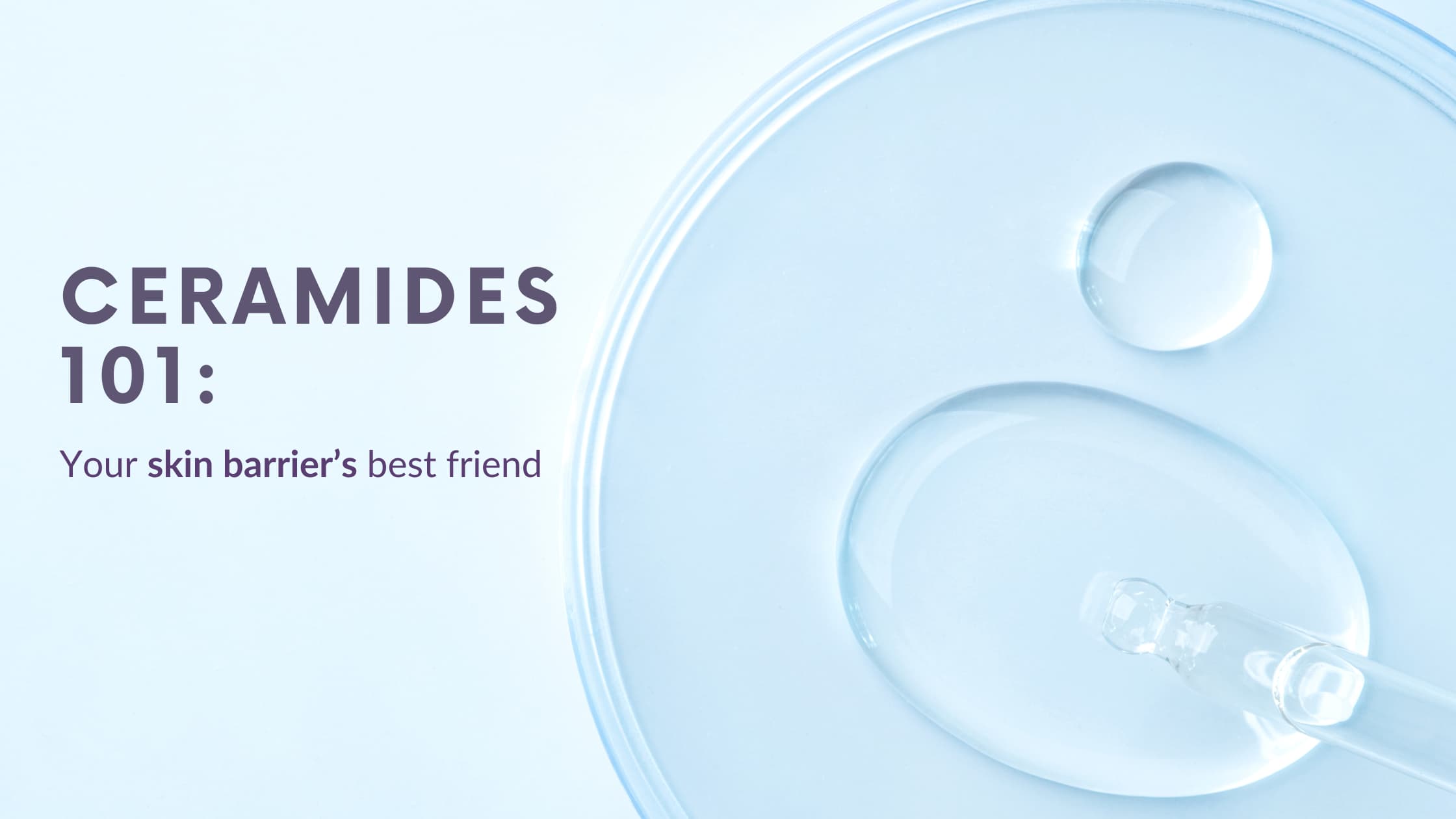 Ceramide Skincare Benefits: Your Barrier's Best Friend