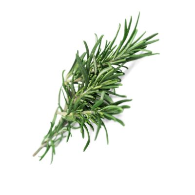 Rosemary Leaf Extract