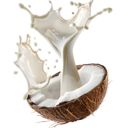 Coconut Milk